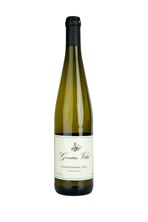 Chardonnay